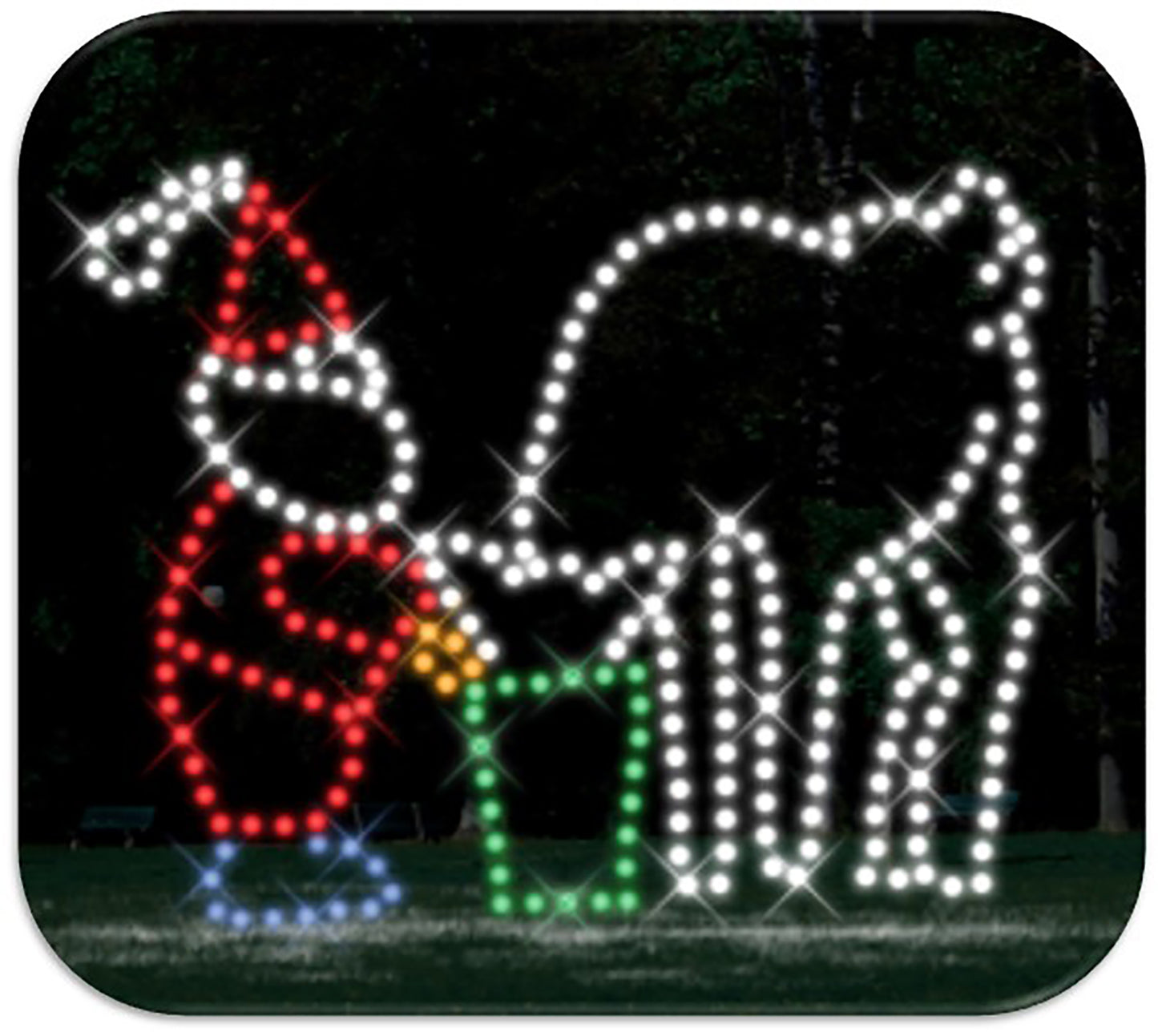 5' Reindeer in Training Feeding Time
