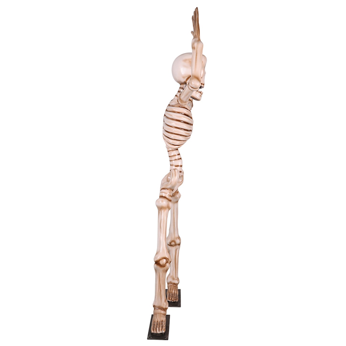 7' Skeleton with his Hands in the Air with Metal Base