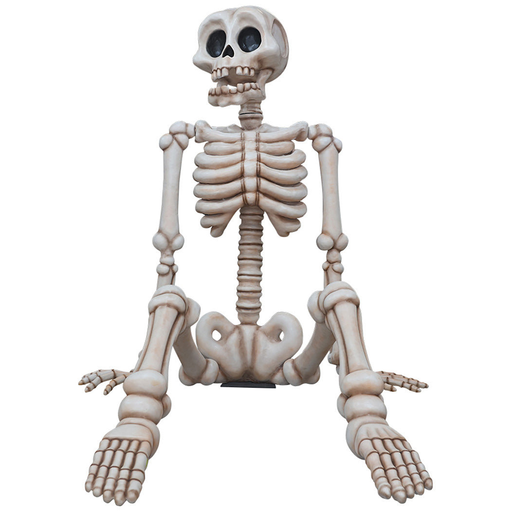 13.5' Sitting Skeleton