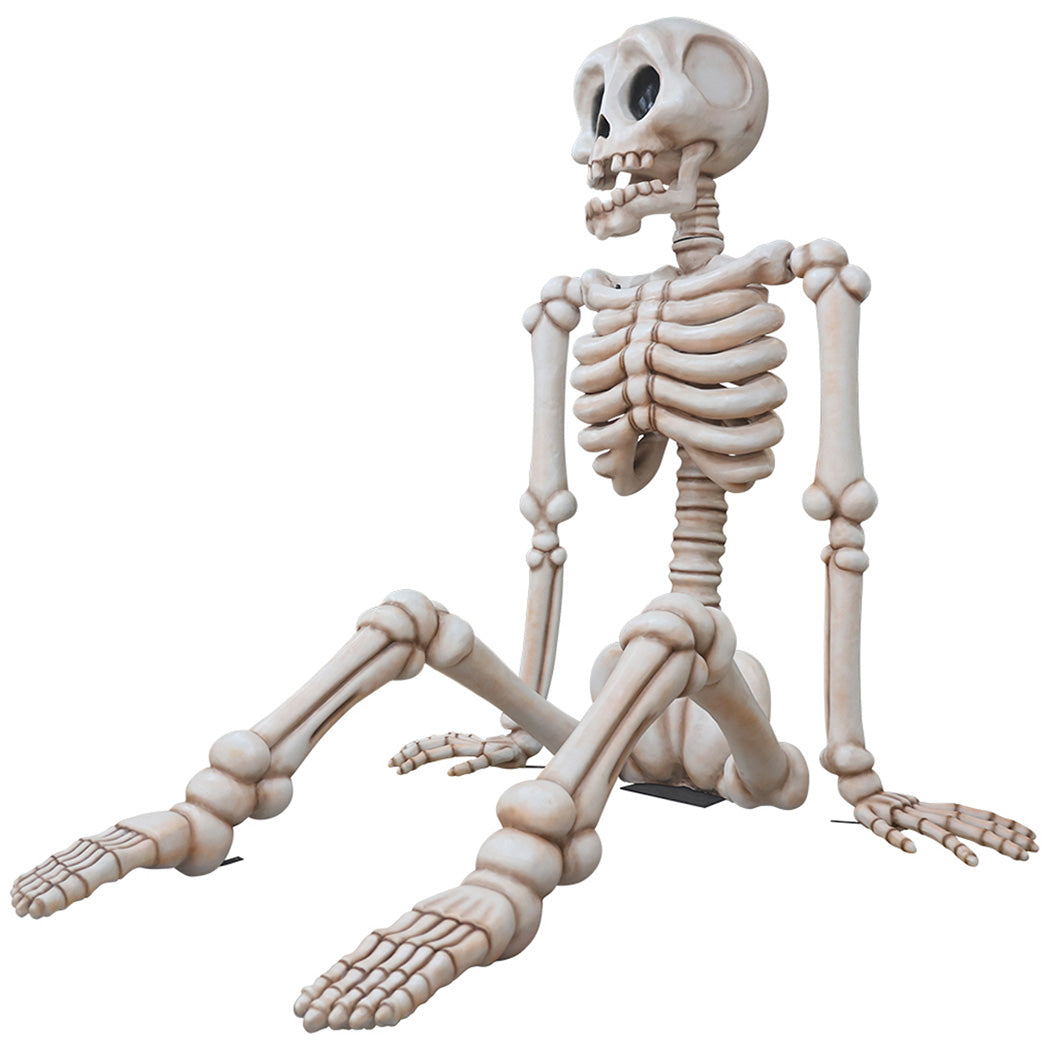 13.5' Sitting Skeleton