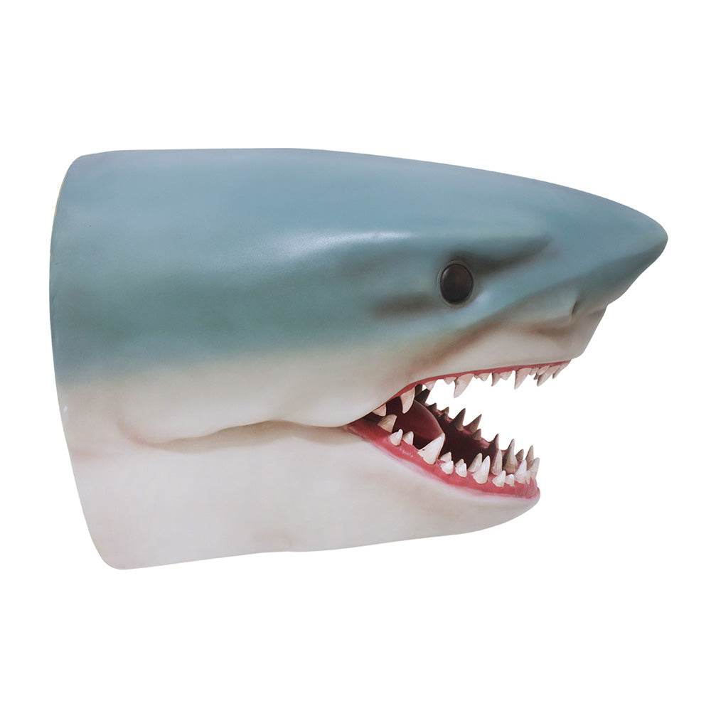 Shark Head