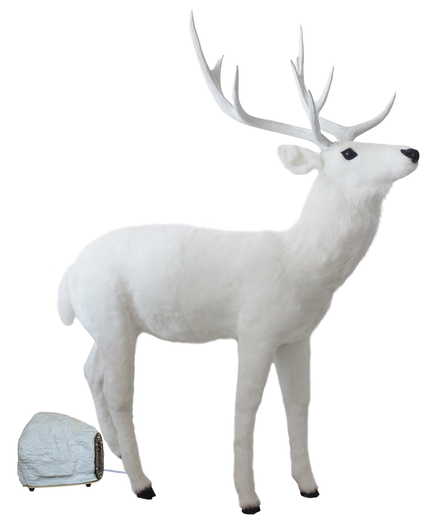 67" Animated Adult White Deer Head Moves with Music