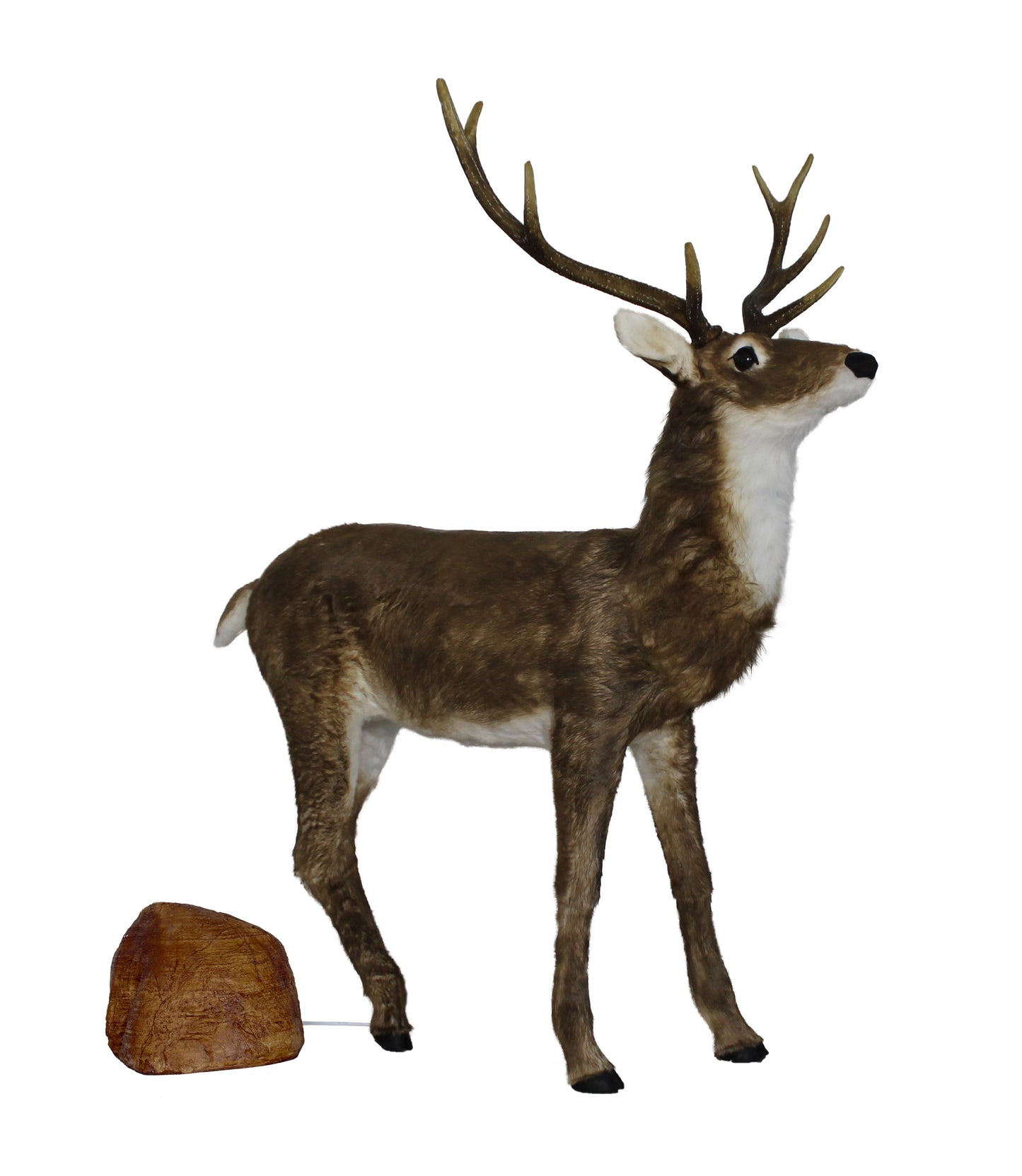 66" Animated Adult Natural Deer Head moves with Music