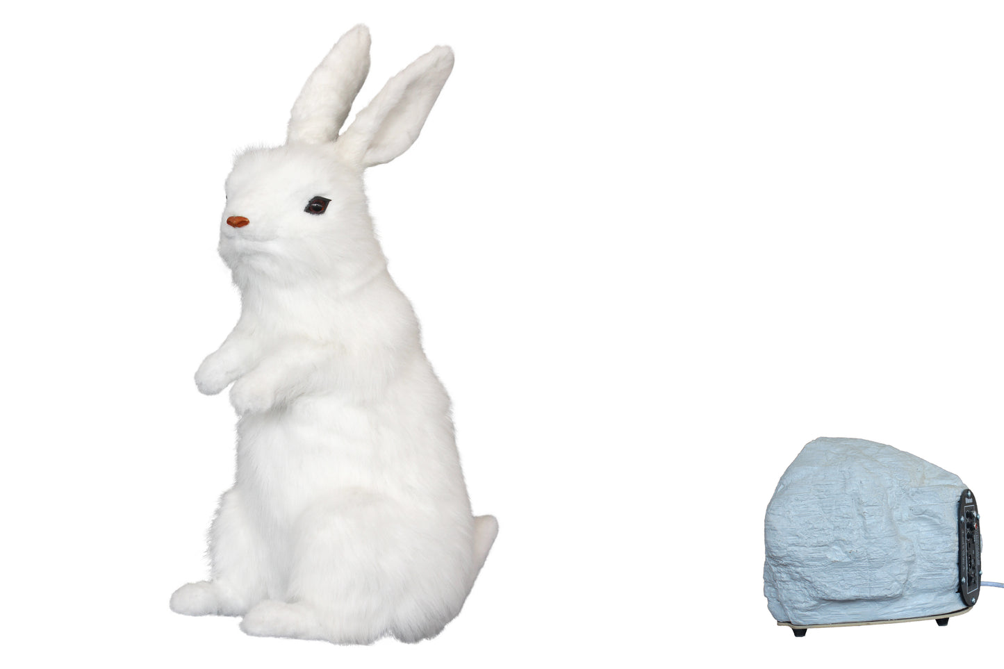 Animated Rabbit Body moves with Music