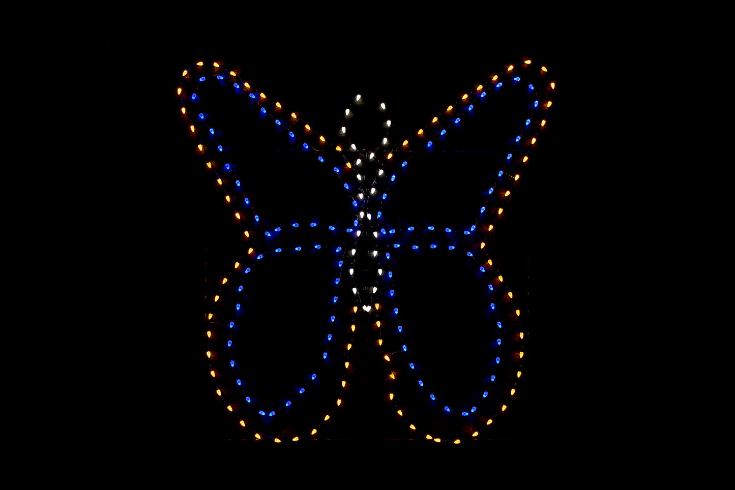 7.5 Butterfly Simple 1