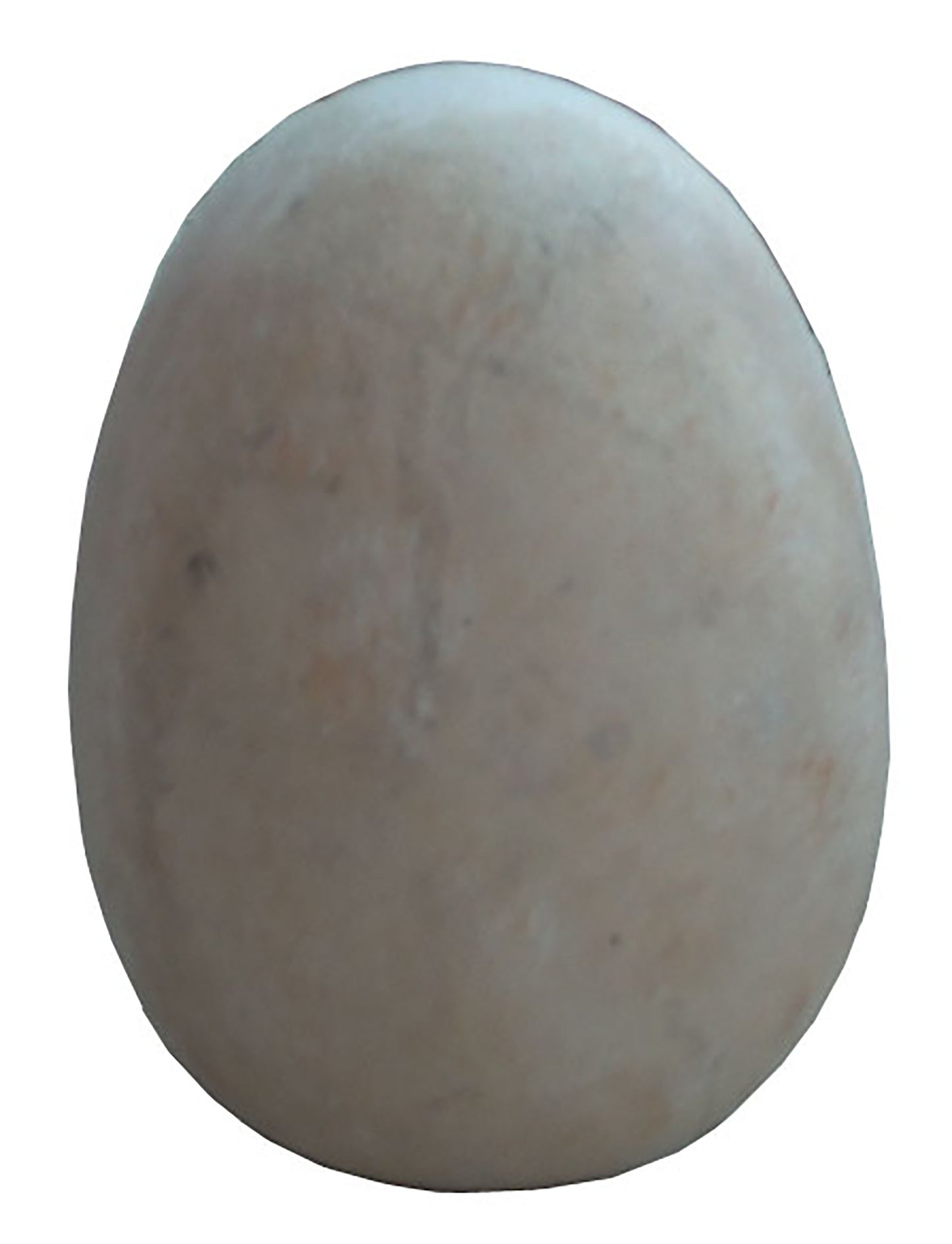 15" Large Dino Egg