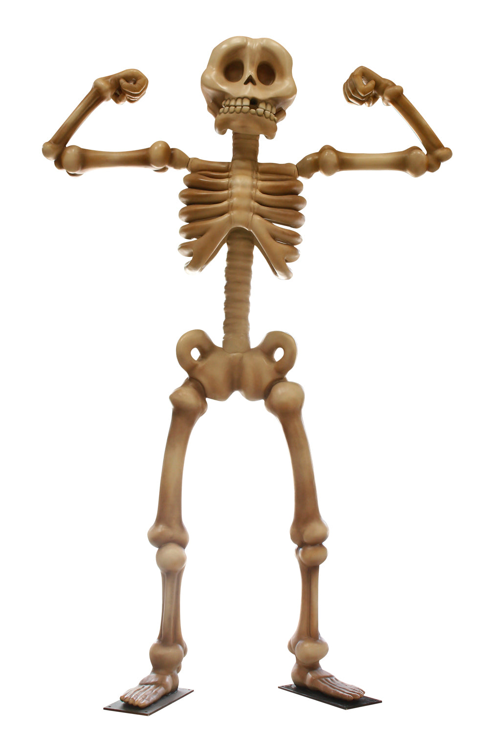 Muscle Skeleton 12'