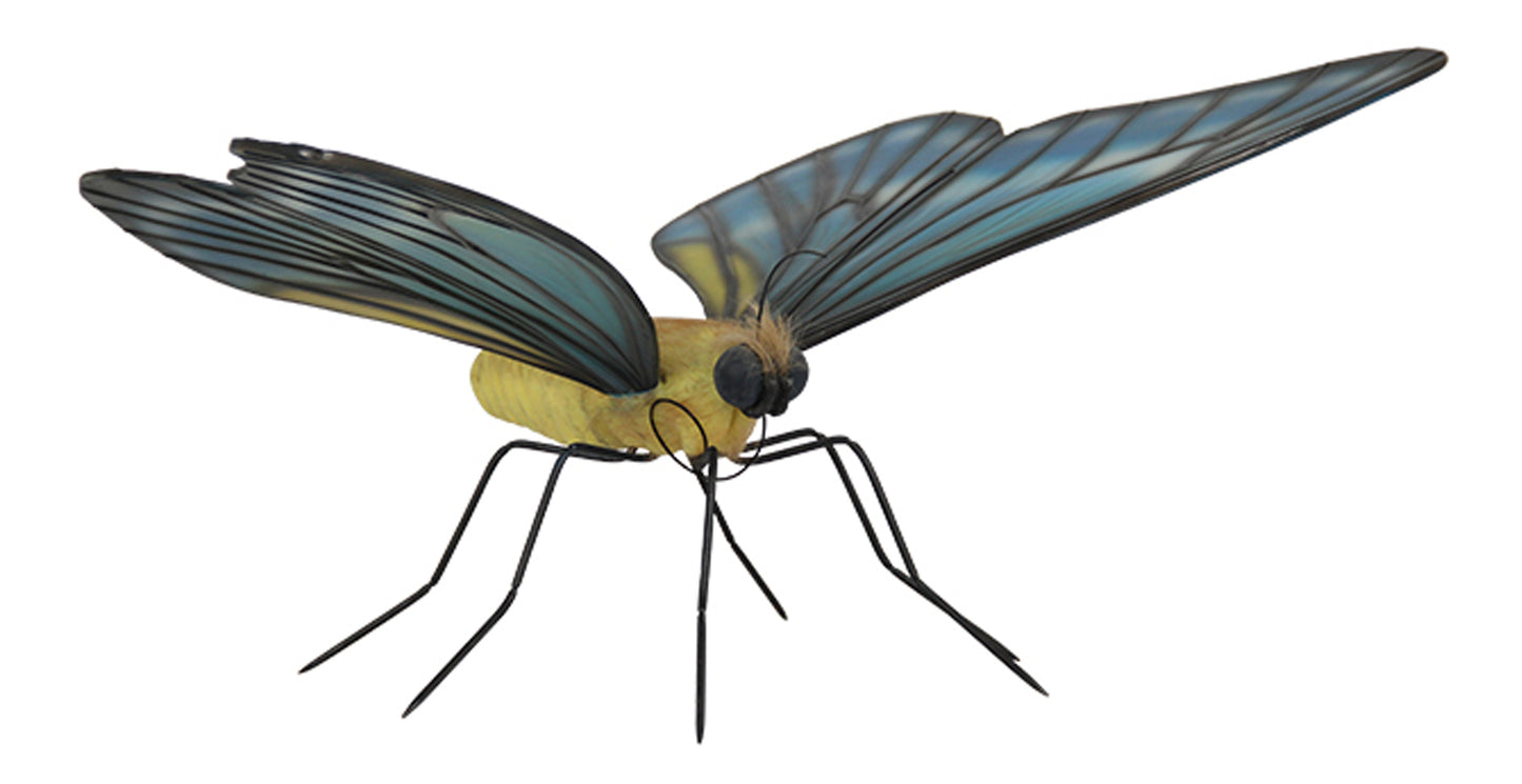 Blue Butterfly 2'