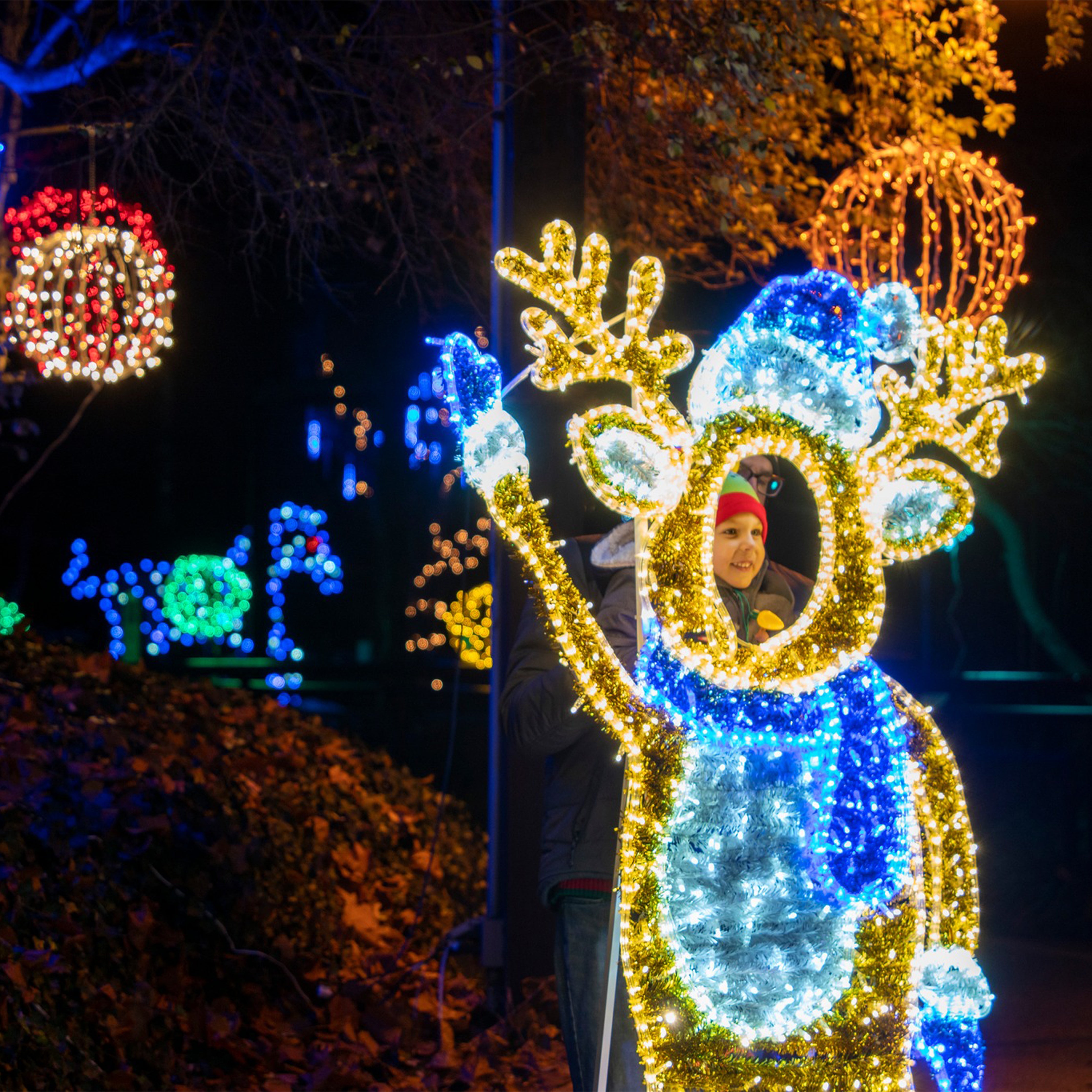 Lighted Displays – WinterlandInc