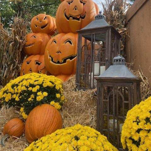 Pumpkins