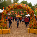 Fall Leaves Arch