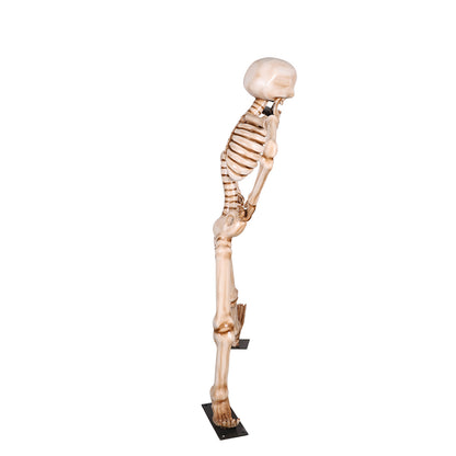 7' Skeleton Dancing to the Hokey Pokey with Metal Base
