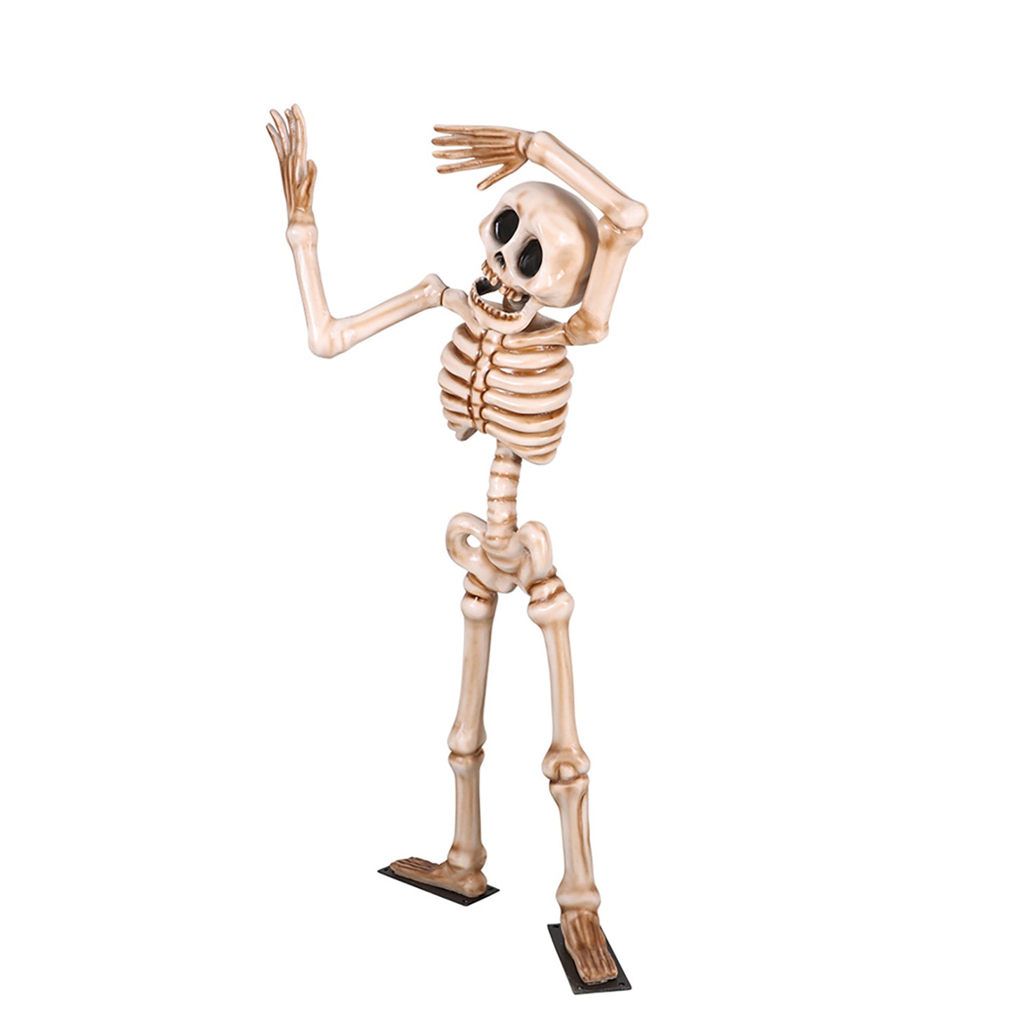 7' Skeleton Tilting his Head with Metal Base