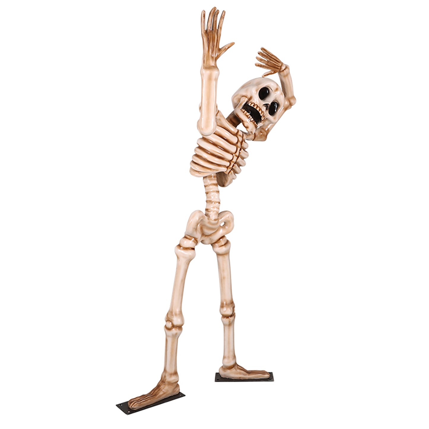7' Skeleton Tilting his Head with Metal Base