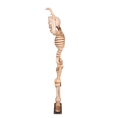 7' Skeleton Doing Squats with Metal Base