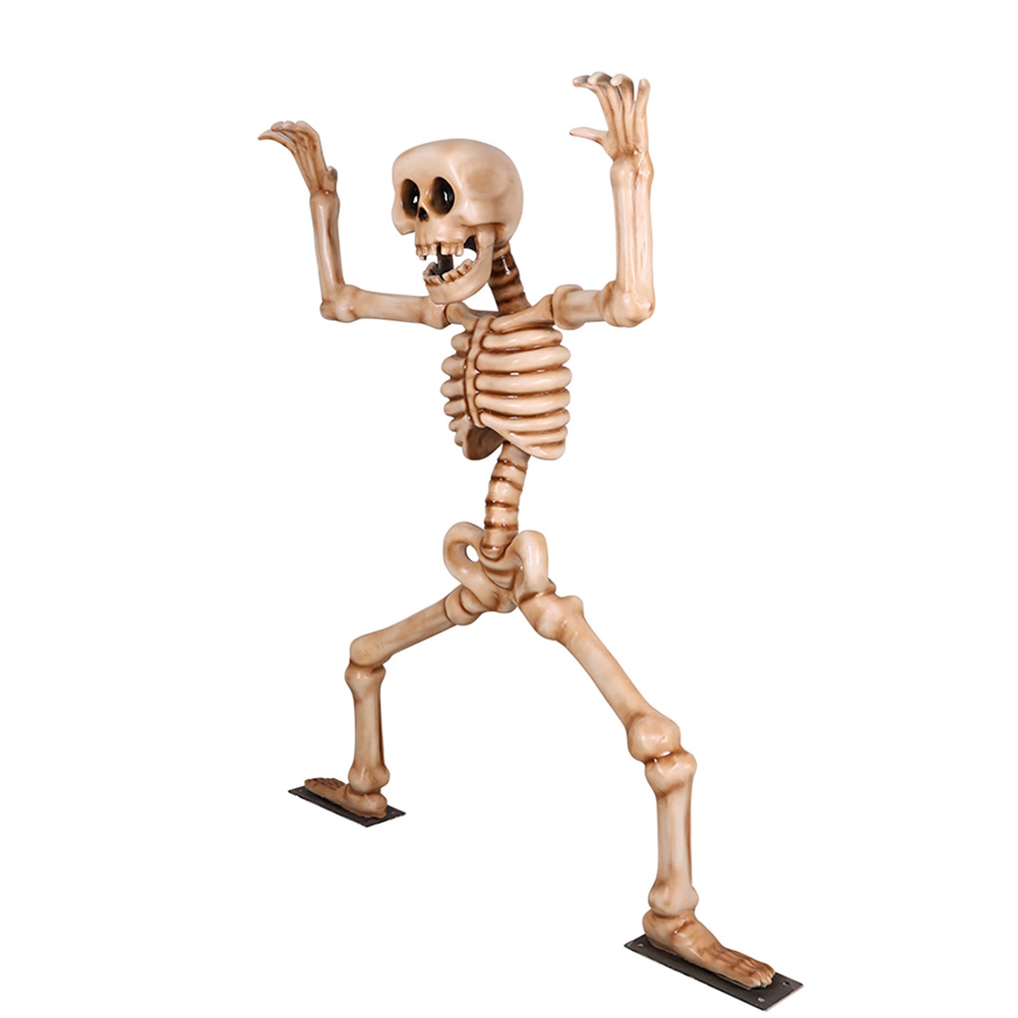 7' Skeleton Doing Squats with Metal Base