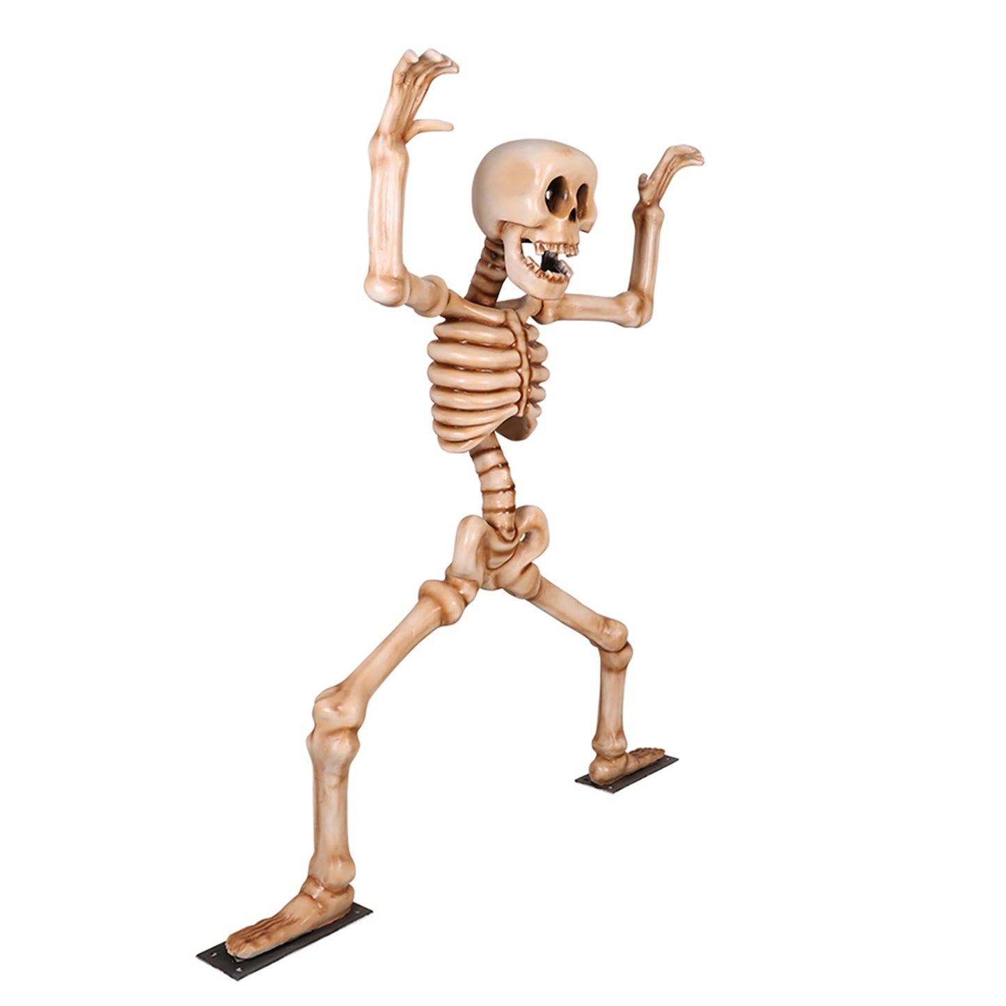 7' Skeleton Doing Squats with Metal Base