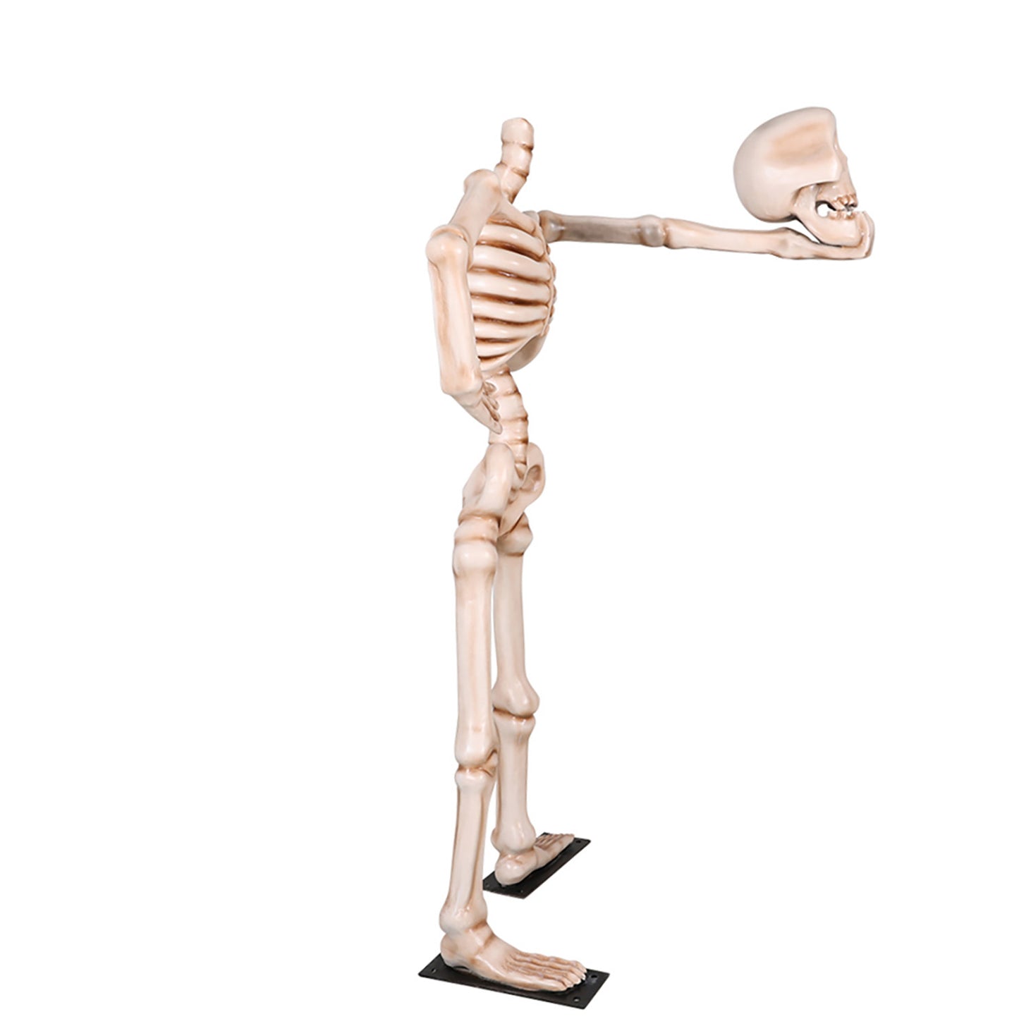 7' Skeleton Holding his Head in his Outstreched Arm with Metal Base