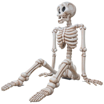 13.5' Sitting Skeleton