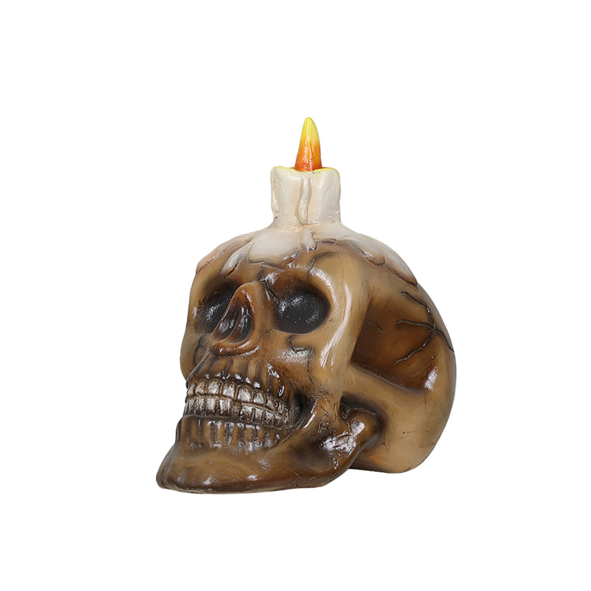 Skull with Candle