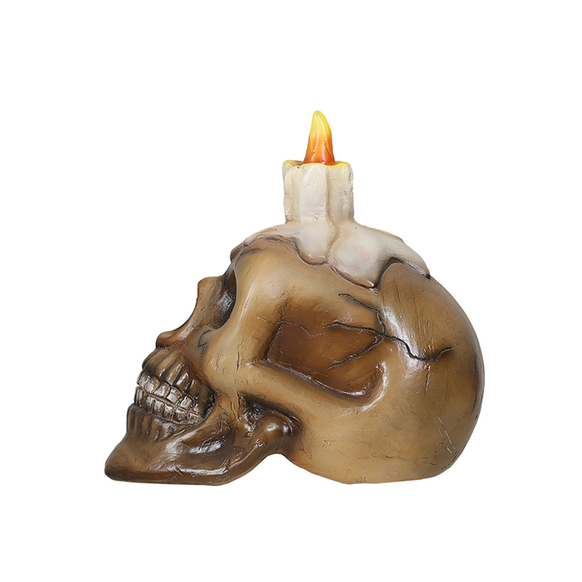 Skull with Candle