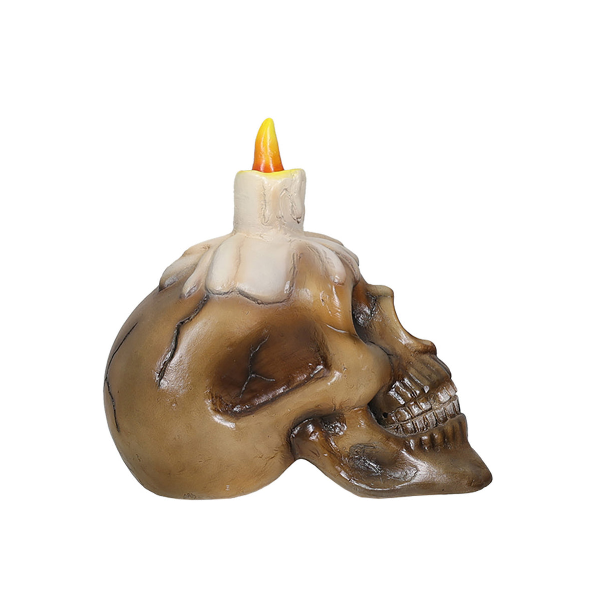 Skull with Candle