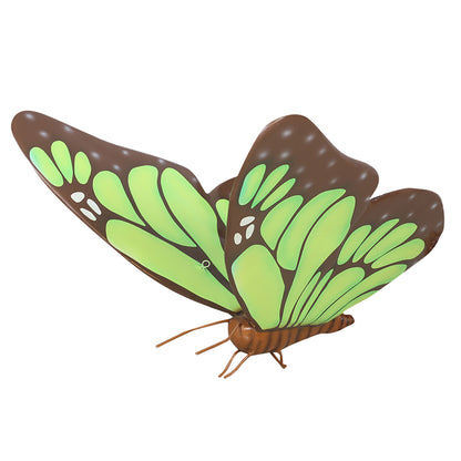 Green Butterfly