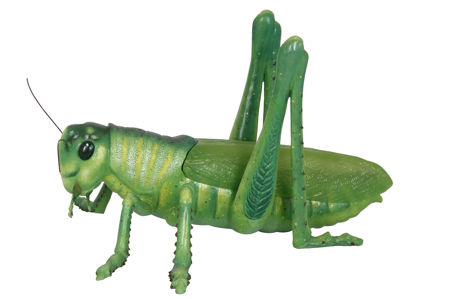 Life Like Grasshopper