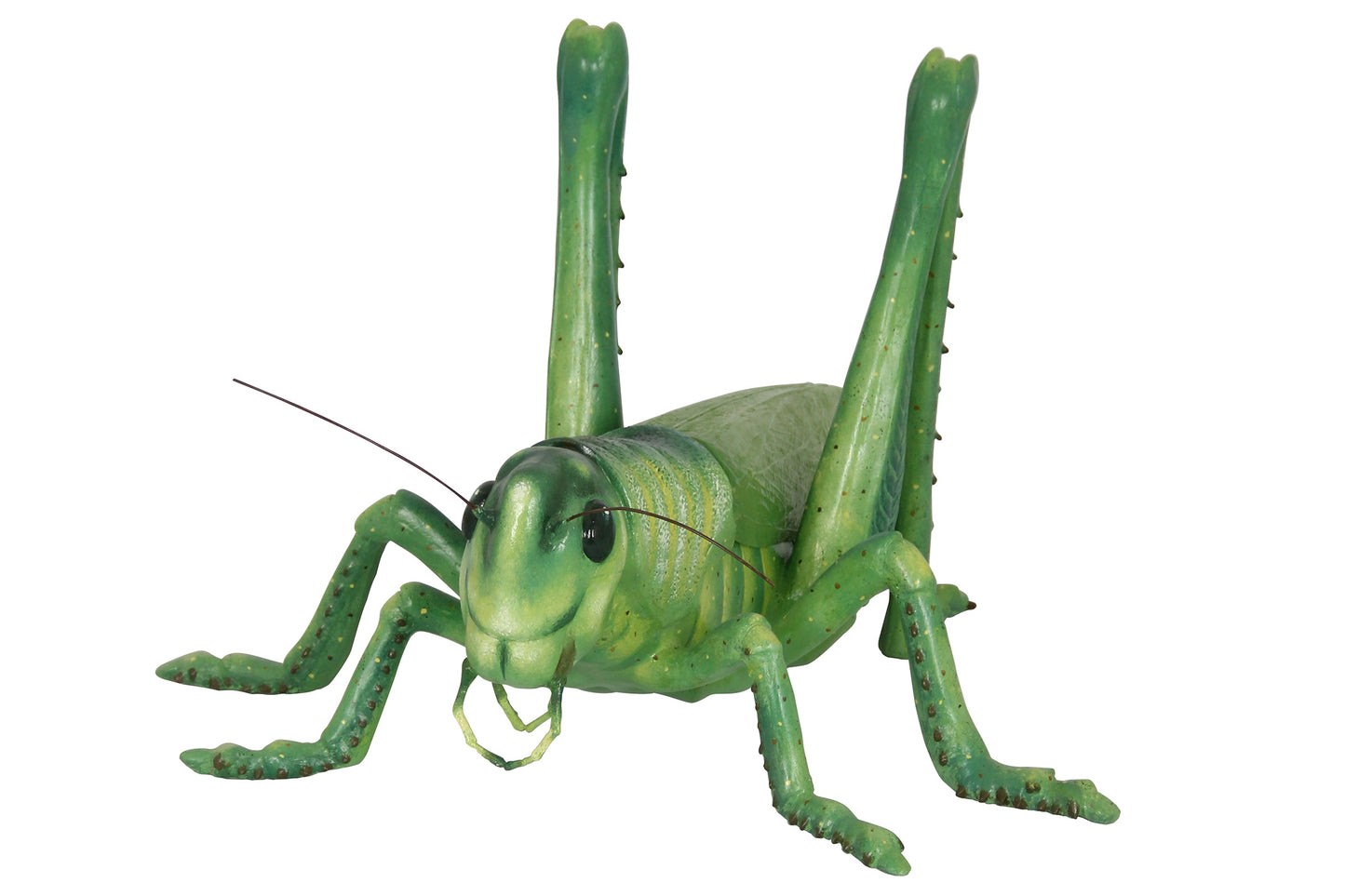 Life Like Grasshopper