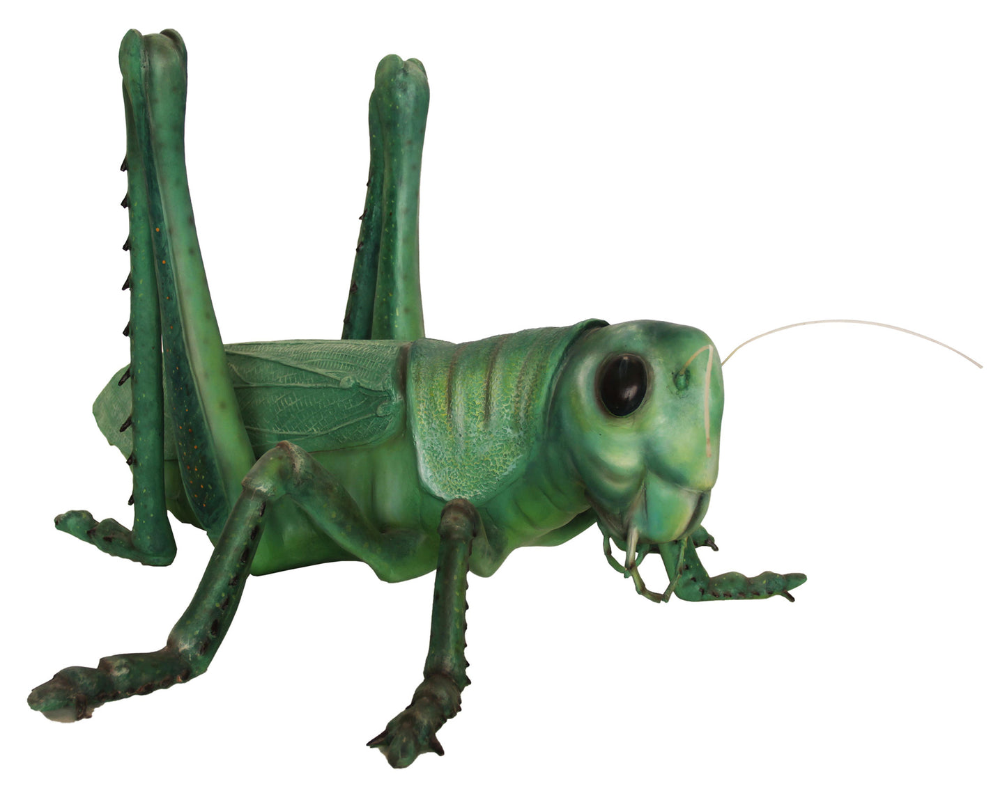 Life Like Grasshopper