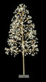 4' Warm White Starburst LED Tree