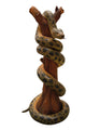 Anaconda on a Tree