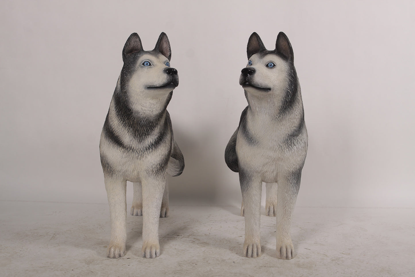 Set of  Two Husky Dogs
