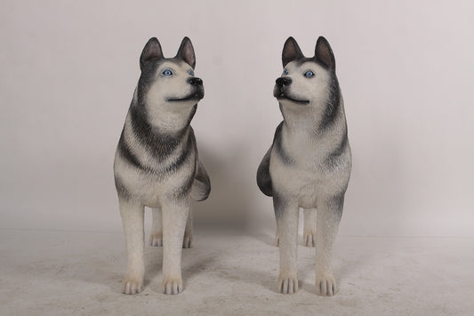 Set of  Two Husky Dogs