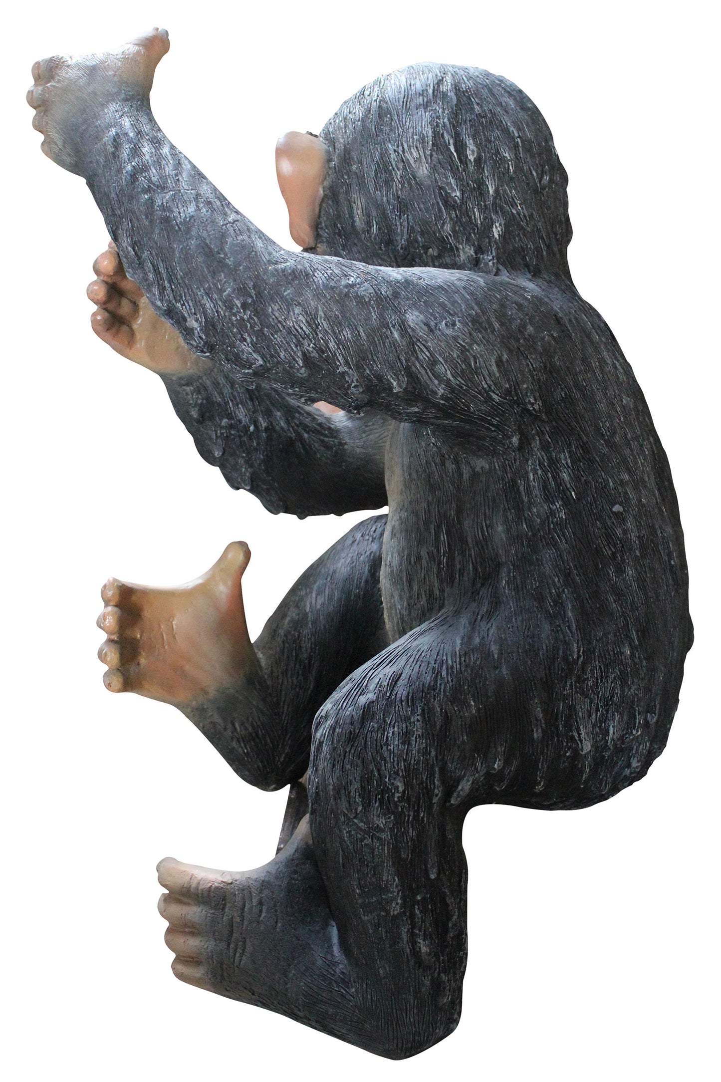 Life Like Congo Monkey