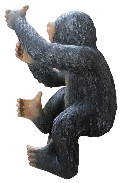 Life Like Congo Monkey