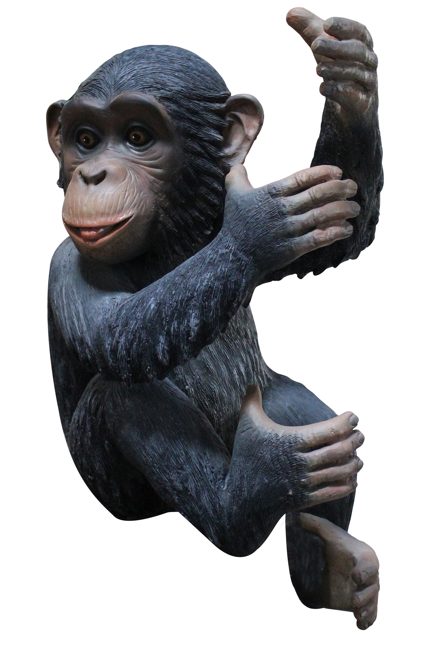 Life Like Congo Monkey