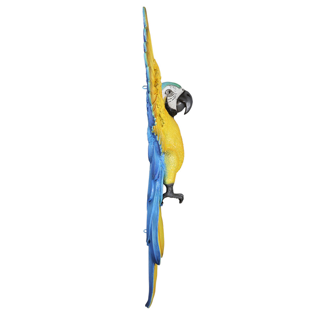 7.5' Blue and Yellow Hanging Macaw Parrot Statue