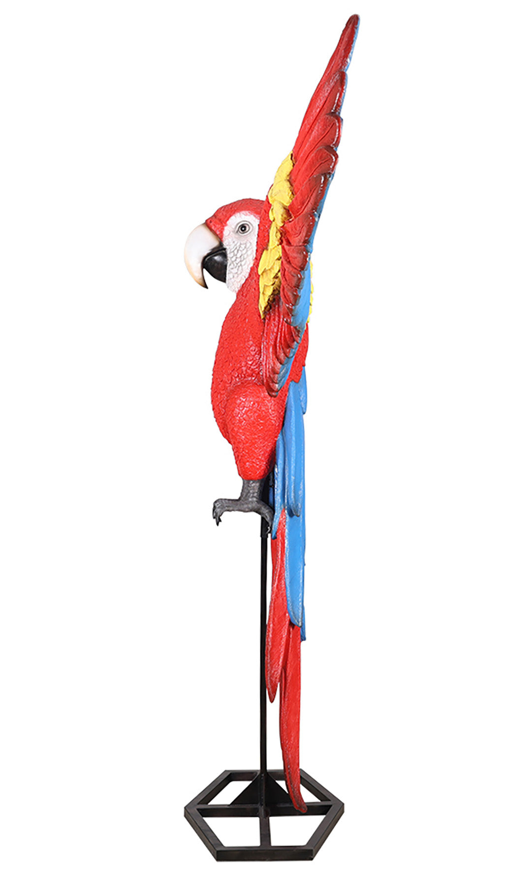 7.5 Red Macaw Parrot with Stand