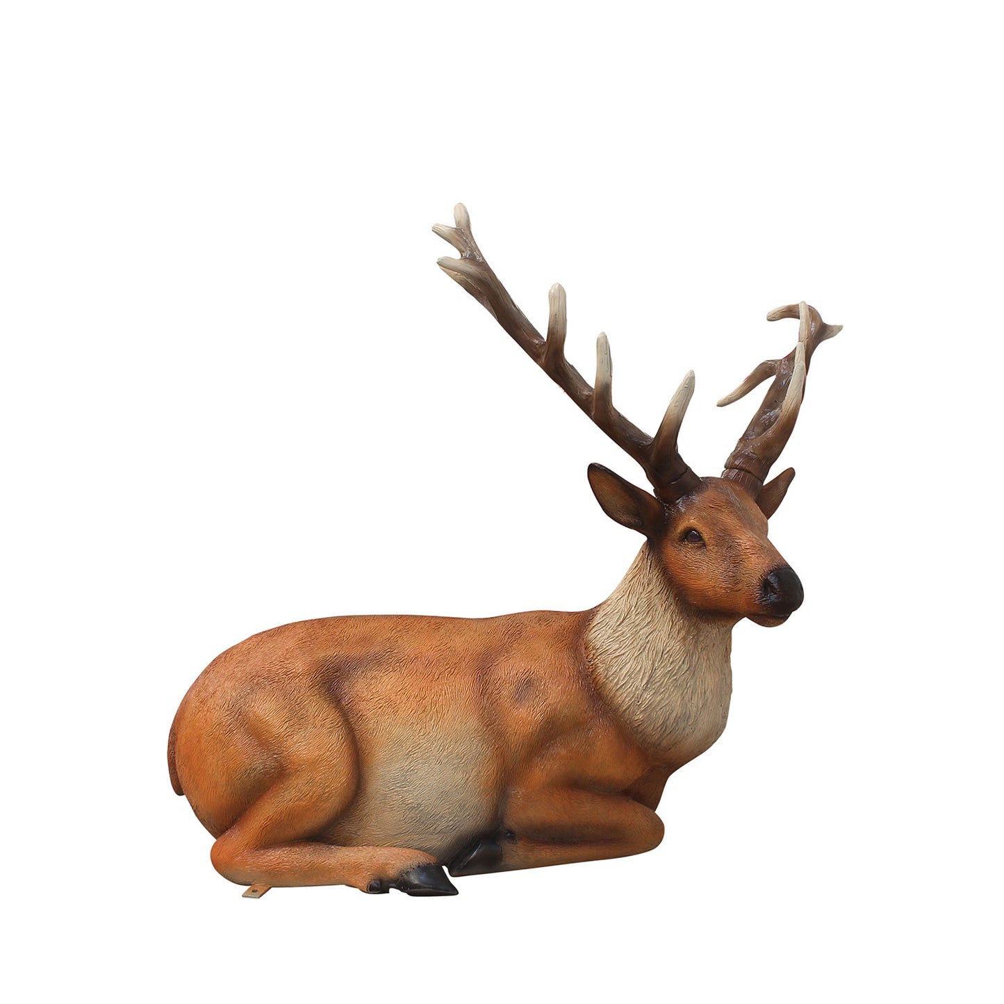 Life Like Sitting Stag