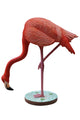 Life Like Flamingo with Head Down