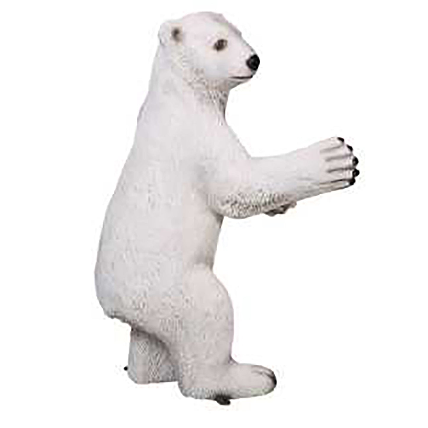 Polar Bear 2' Cub