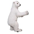 Polar Bear 2' Cub