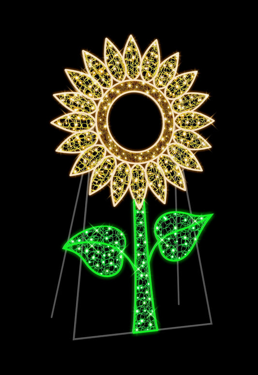 5.5' Sunflower Photo Op