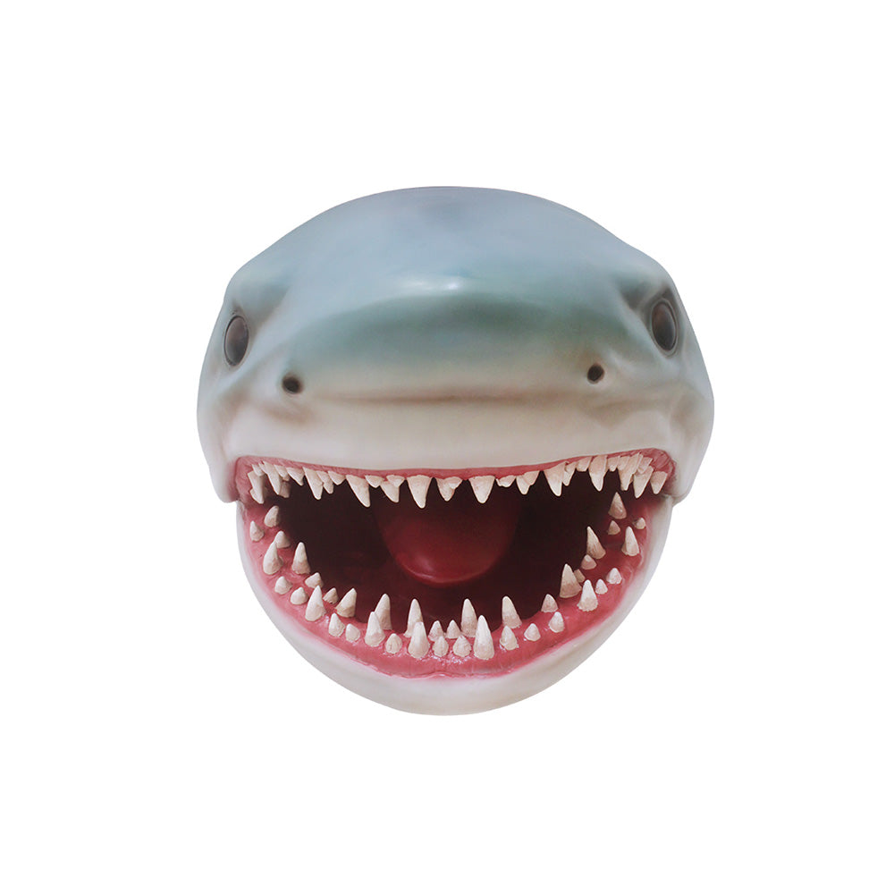 Shark Head