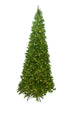 14' Sequoia Evergreen Christmas Tree with Warm White LED Lights
