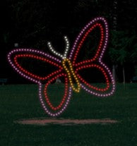 7.5 Butterfly Simple 2
