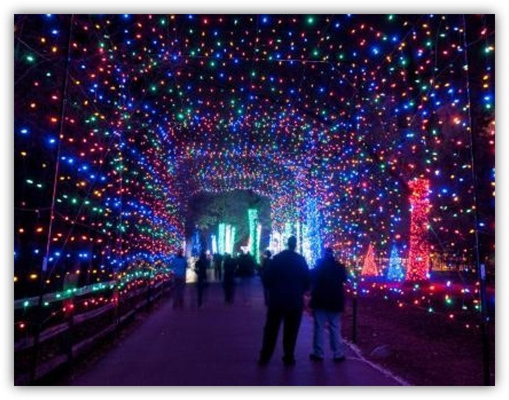 100' Long Drive Through Multicolored Lights