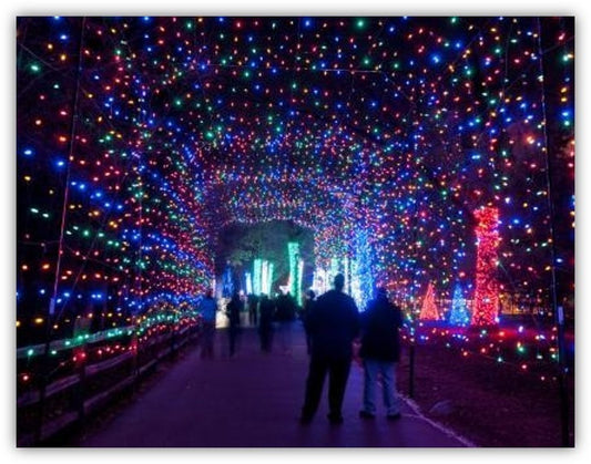 100' Long Drive Through Multicolored Lights