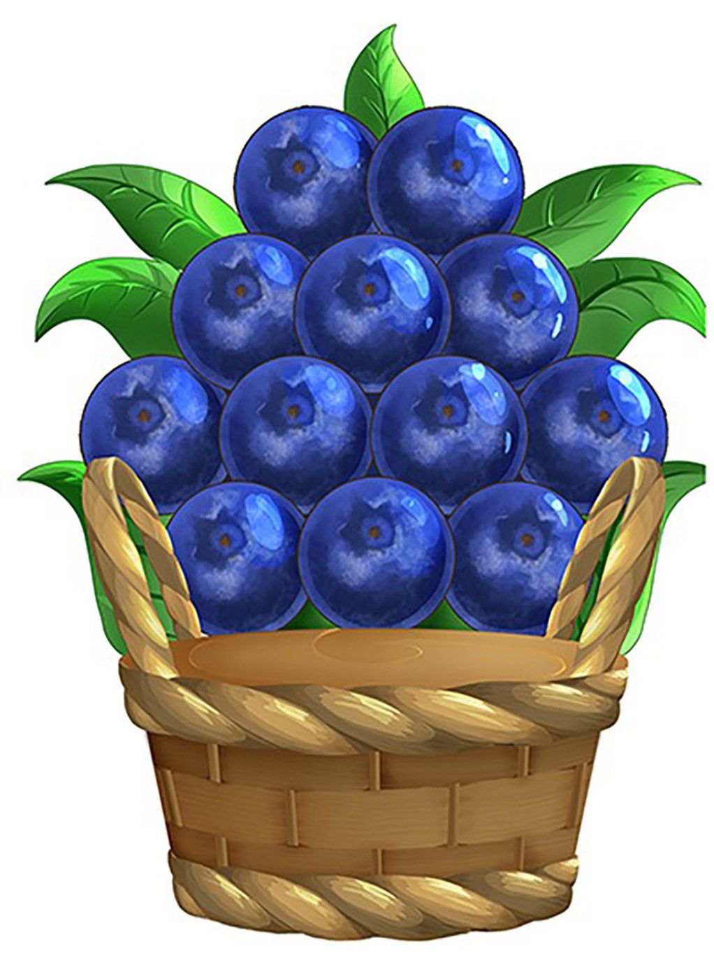 Blueberry Throne